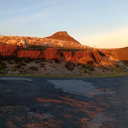 Maison Ossature Bois