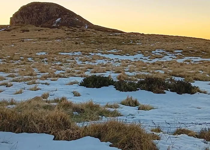 Maison Ossature Bois Chalet La Bourboule