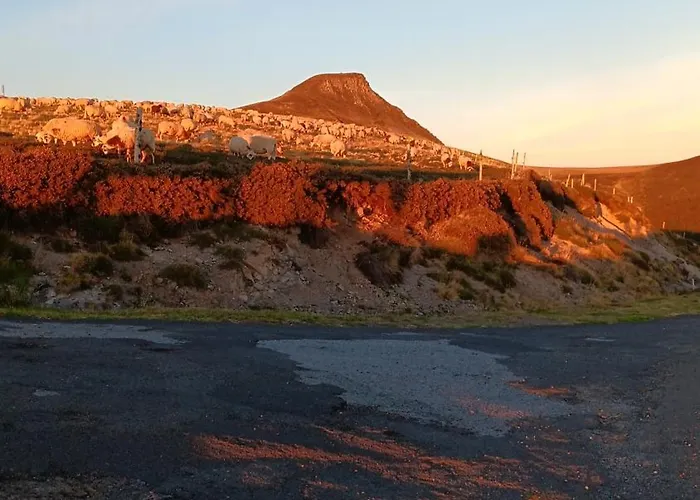 Maison Ossature Bois